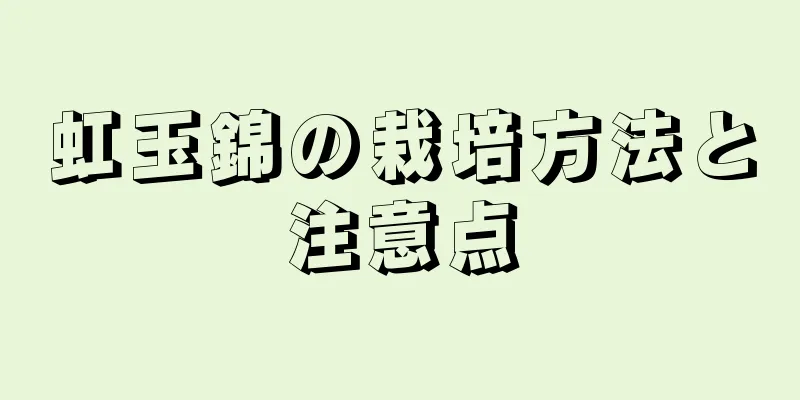 虹玉錦の栽培方法と注意点