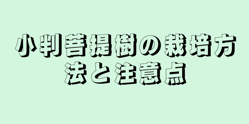 小判菩提樹の栽培方法と注意点