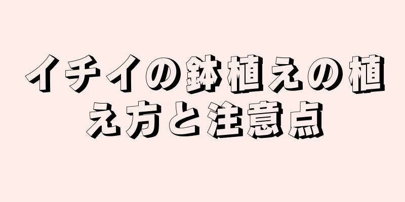 イチイの鉢植えの植え方と注意点
