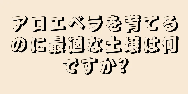アロエベラを育てるのに最適な土壌は何ですか?