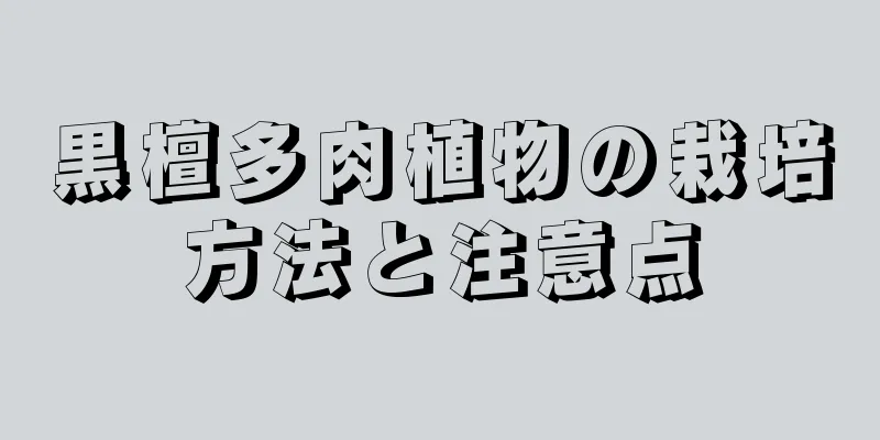 黒檀多肉植物の栽培方法と注意点