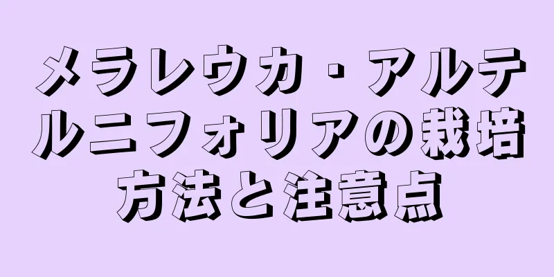 メラレウカ・アルテルニフォリアの栽培方法と注意点