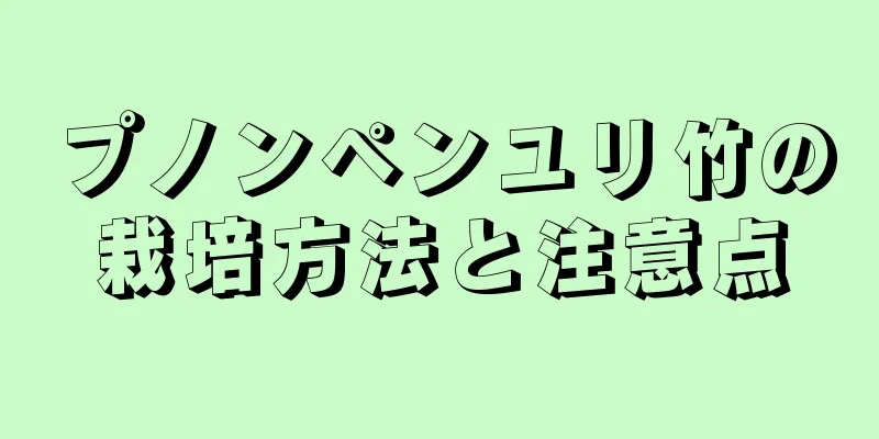 プノンペンユリ竹の栽培方法と注意点