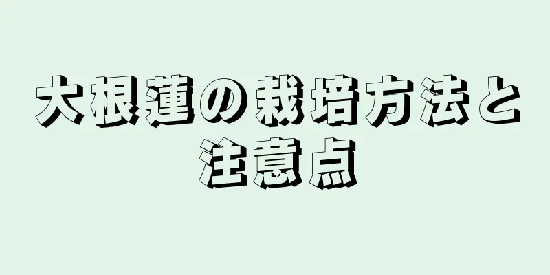 大根蓮の栽培方法と注意点