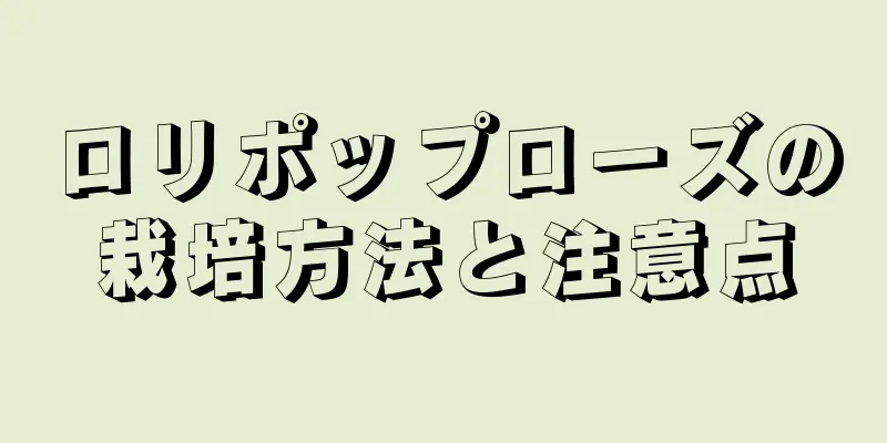 ロリポップローズの栽培方法と注意点