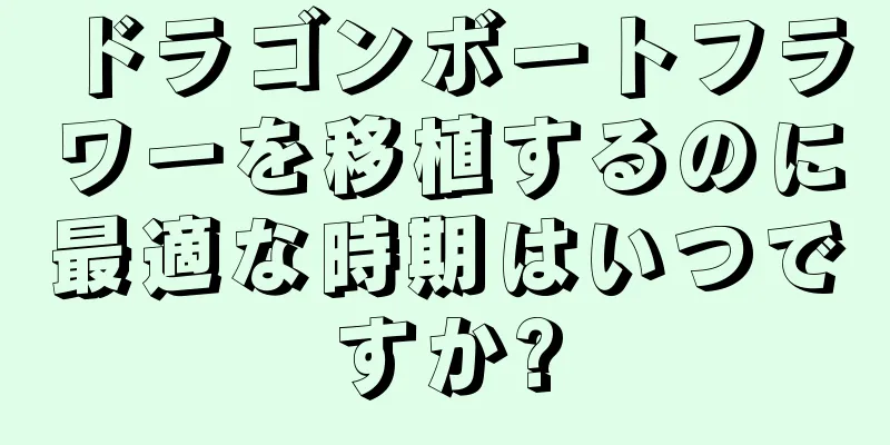 ドラゴンボートフラワーを移植するのに最適な時期はいつですか?