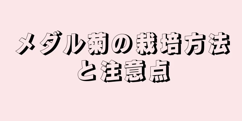 メダル菊の栽培方法と注意点