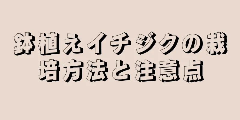 鉢植えイチジクの栽培方法と注意点