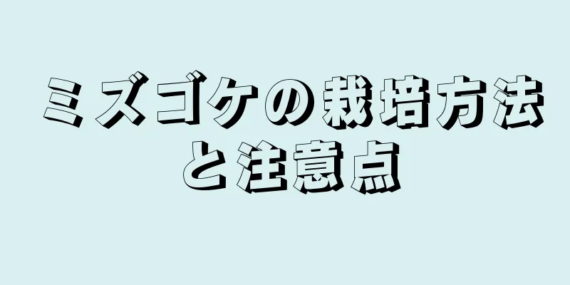 ミズゴケの栽培方法と注意点