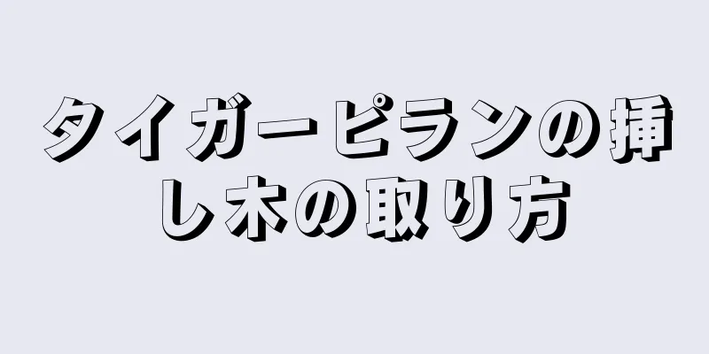 タイガーピランの挿し木の取り方