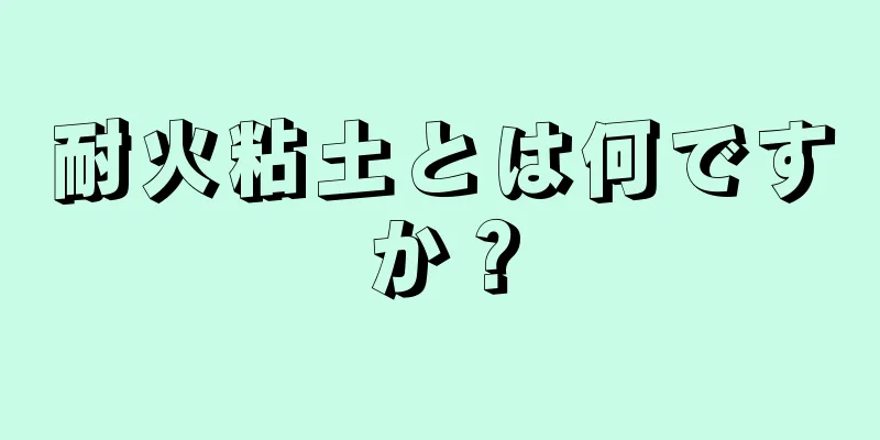 耐火粘土とは何ですか？