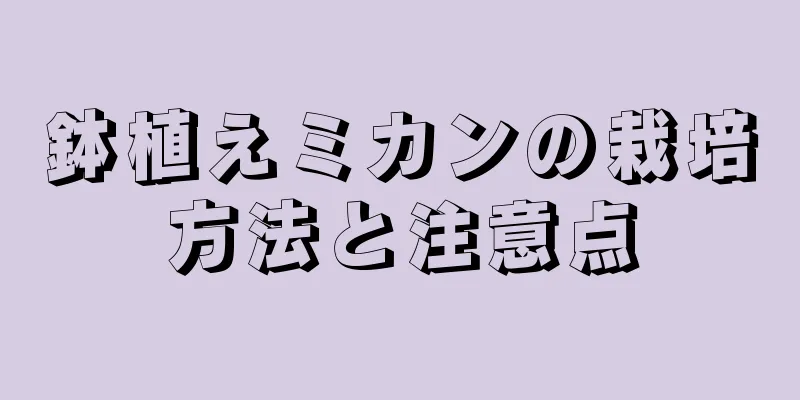 鉢植えミカンの栽培方法と注意点