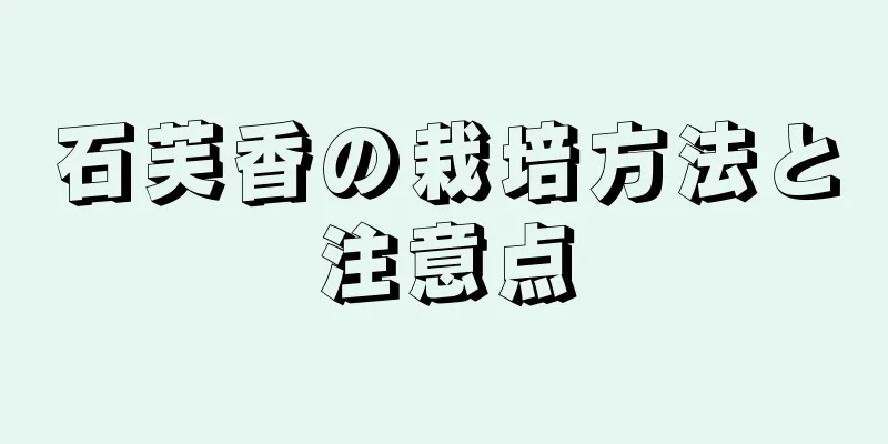 石芙香の栽培方法と注意点
