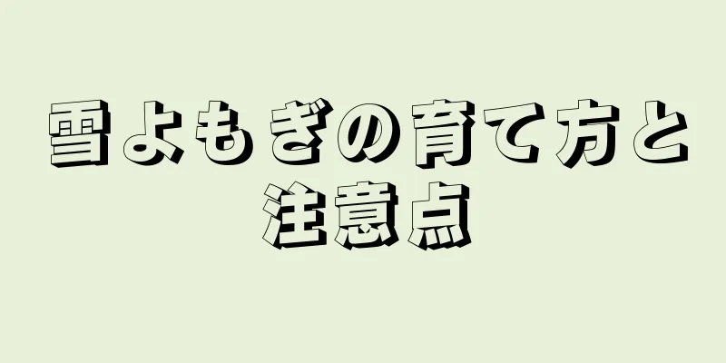 雪よもぎの育て方と注意点