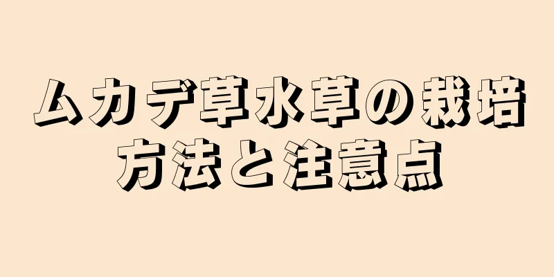 ムカデ草水草の栽培方法と注意点