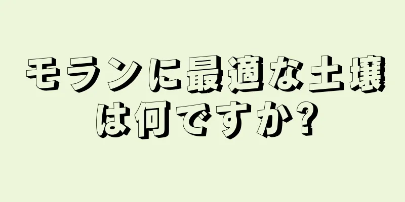 モランに最適な土壌は何ですか?