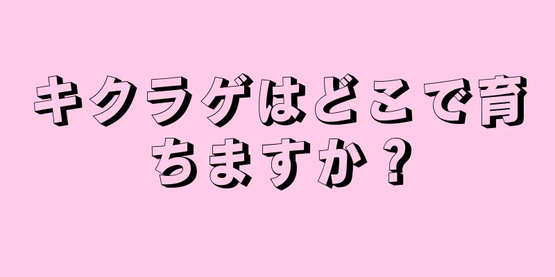 キクラゲはどこで育ちますか？