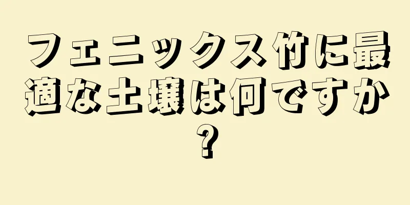 フェニックス竹に最適な土壌は何ですか?