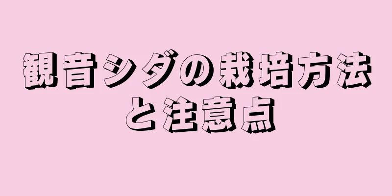 観音シダの栽培方法と注意点