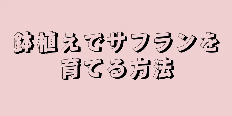 鉢植えでサフランを育てる方法
