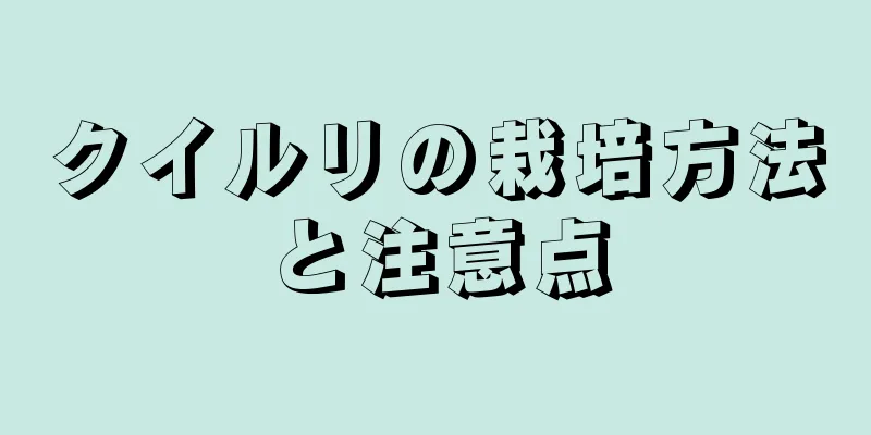クイルリの栽培方法と注意点
