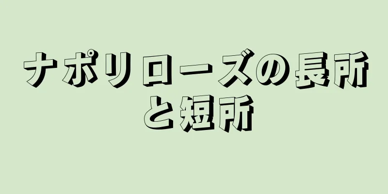 ナポリローズの長所と短所