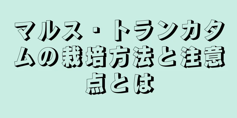 マルス・トランカタムの栽培方法と注意点とは