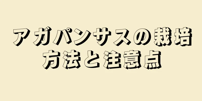 アガパンサスの栽培方法と注意点