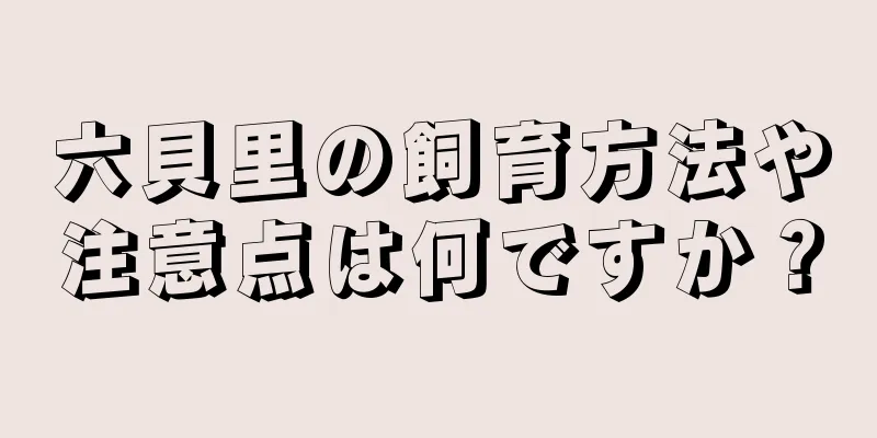六貝里の飼育方法や注意点は何ですか？