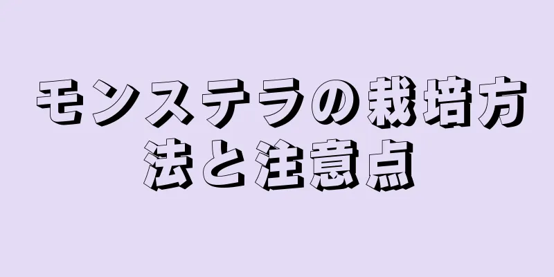 モンステラの栽培方法と注意点