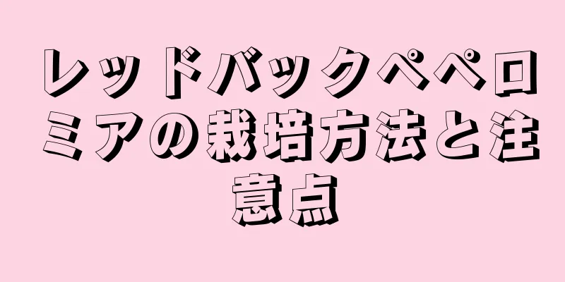 レッドバックペペロミアの栽培方法と注意点