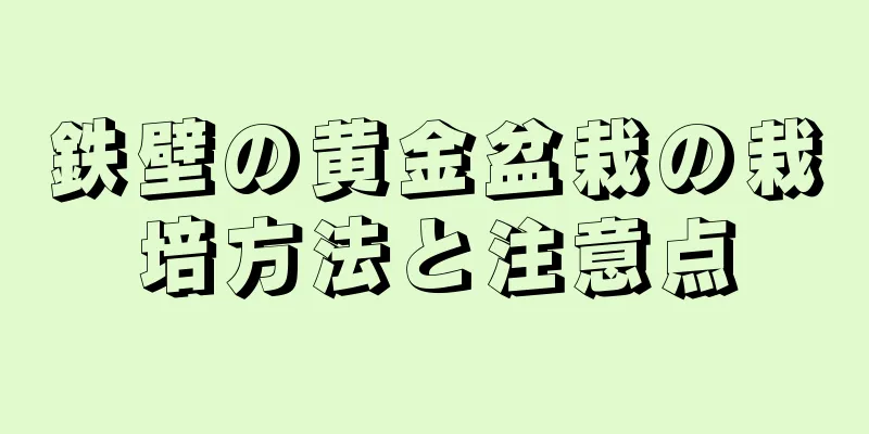 鉄壁の黄金盆栽の栽培方法と注意点