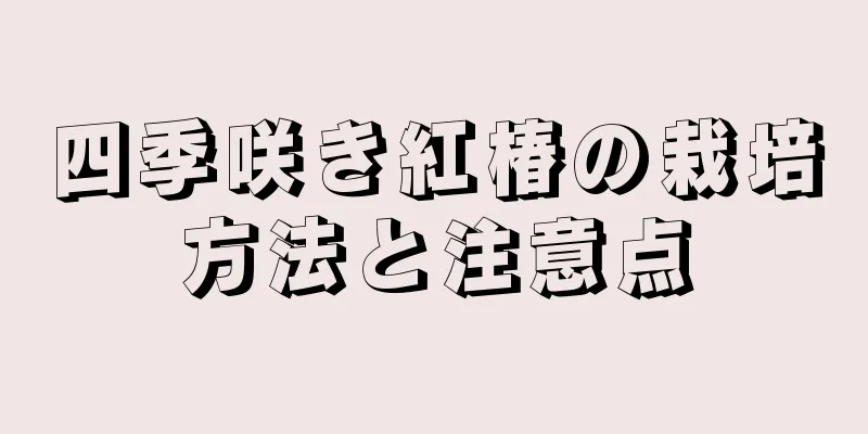 四季咲き紅椿の栽培方法と注意点