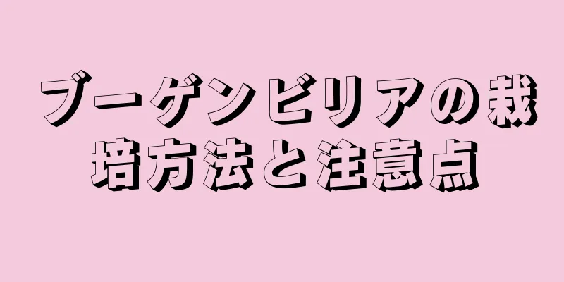 ブーゲンビリアの栽培方法と注意点