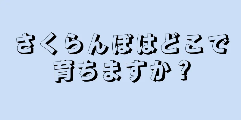 さくらんぼはどこで育ちますか？