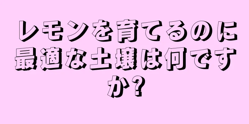 レモンを育てるのに最適な土壌は何ですか?