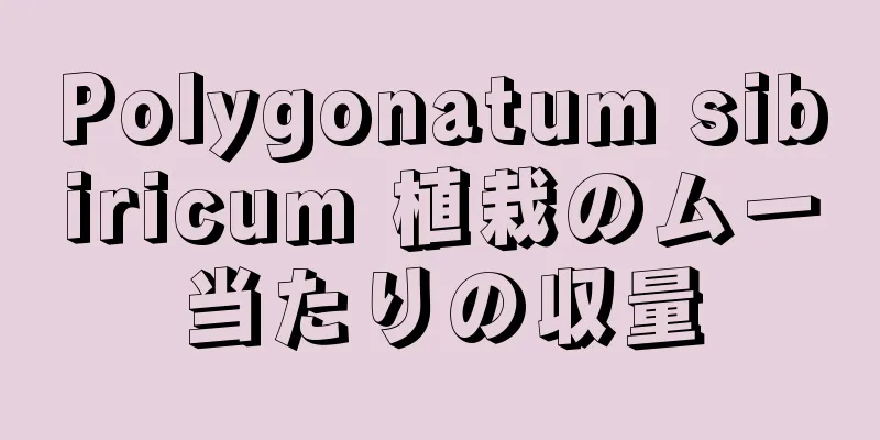 Polygonatum sibiricum 植栽のムー当たりの収量