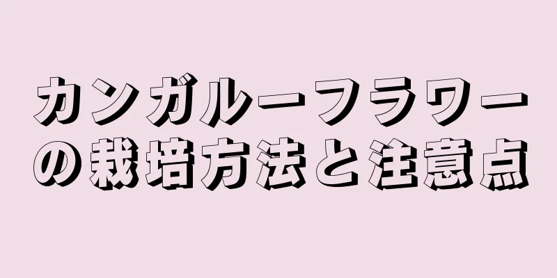 カンガルーフラワーの栽培方法と注意点