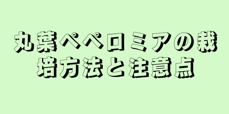 丸葉ペペロミアの栽培方法と注意点