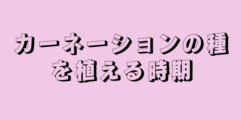 カーネーションの種を植える時期