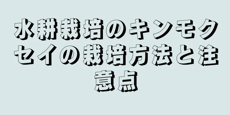 水耕栽培のキンモクセイの栽培方法と注意点