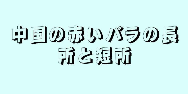中国の赤いバラの長所と短所