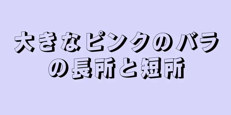 大きなピンクのバラの長所と短所