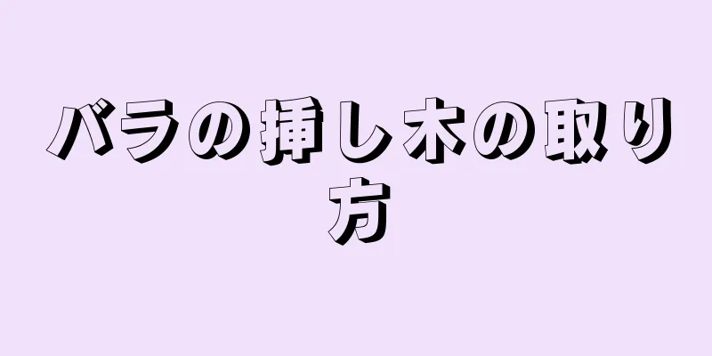 バラの挿し木の取り方