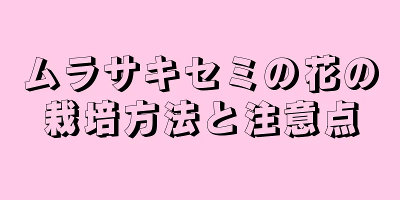 ムラサキセミの花の栽培方法と注意点