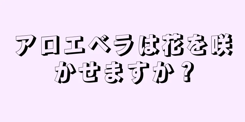 アロエベラは花を咲かせますか？