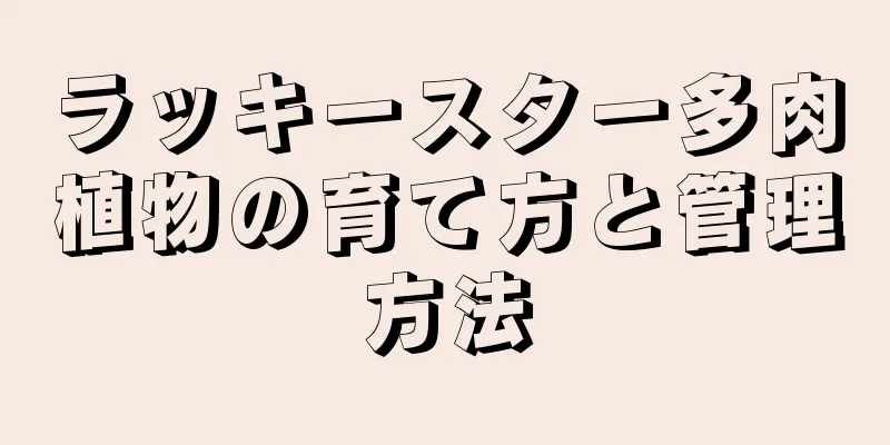 ラッキースター多肉植物の育て方と管理方法