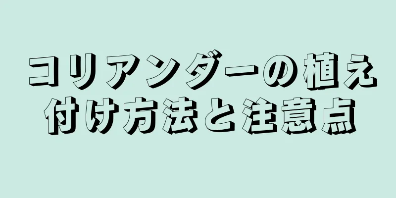 コリアンダーの植え付け方法と注意点