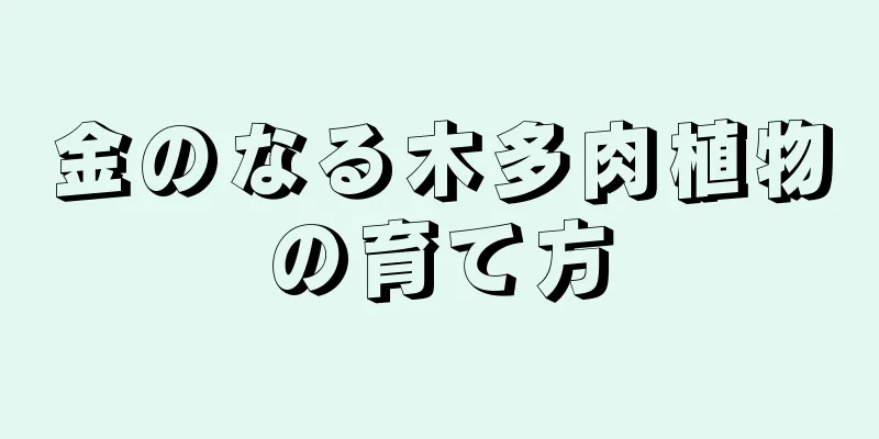 金のなる木多肉植物の育て方