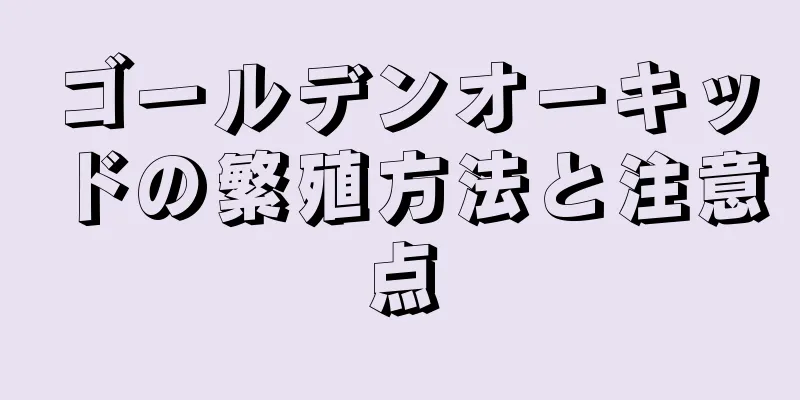 ゴールデンオーキッドの繁殖方法と注意点